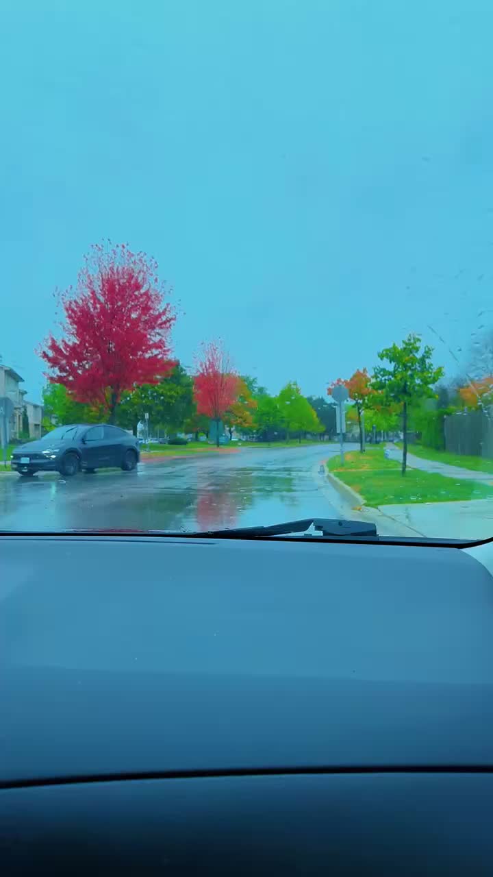 @سعد الكوركوركي 🇨🇦🇮🇶