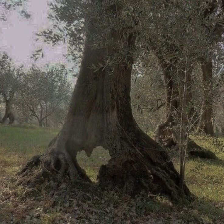 @𝙎𝙤𝙧𝙖 .ᐟ