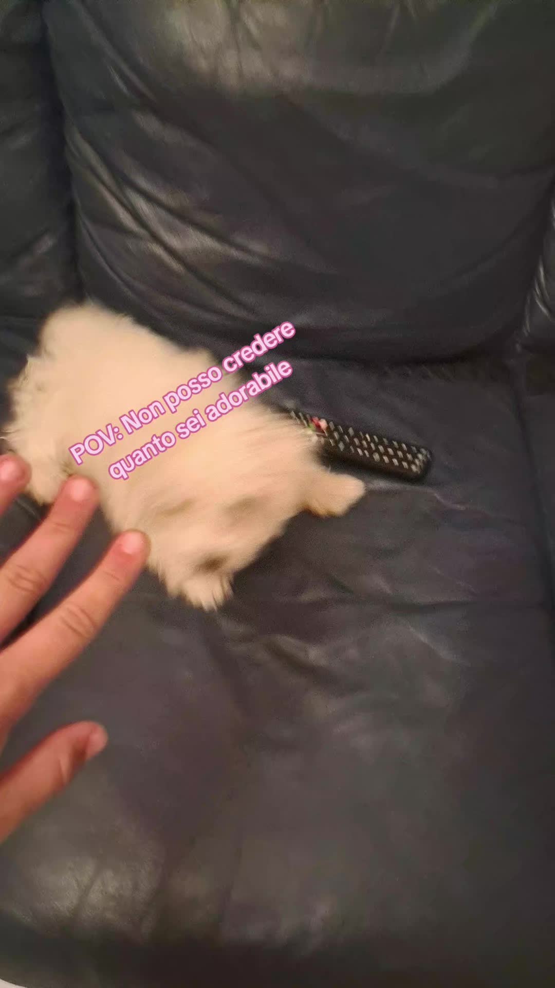 @ioleeeeee