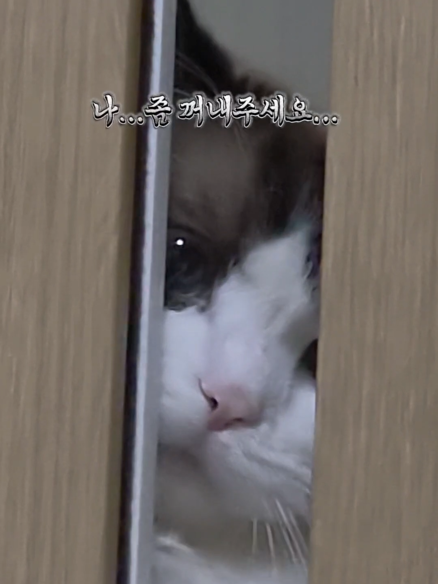 @ddoong2(๋ฑ์ด)