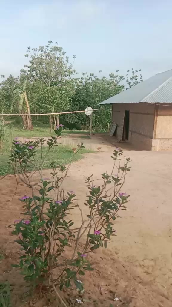 @Jumur Chakma