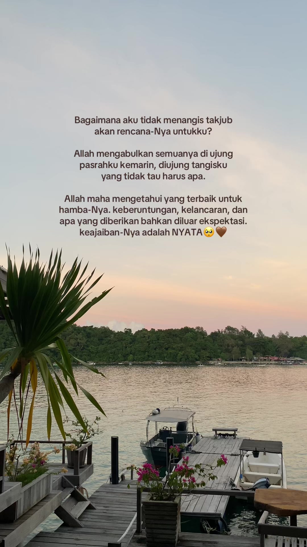 @⊹ . ݁ felia ⟡ ݁ . ⊹