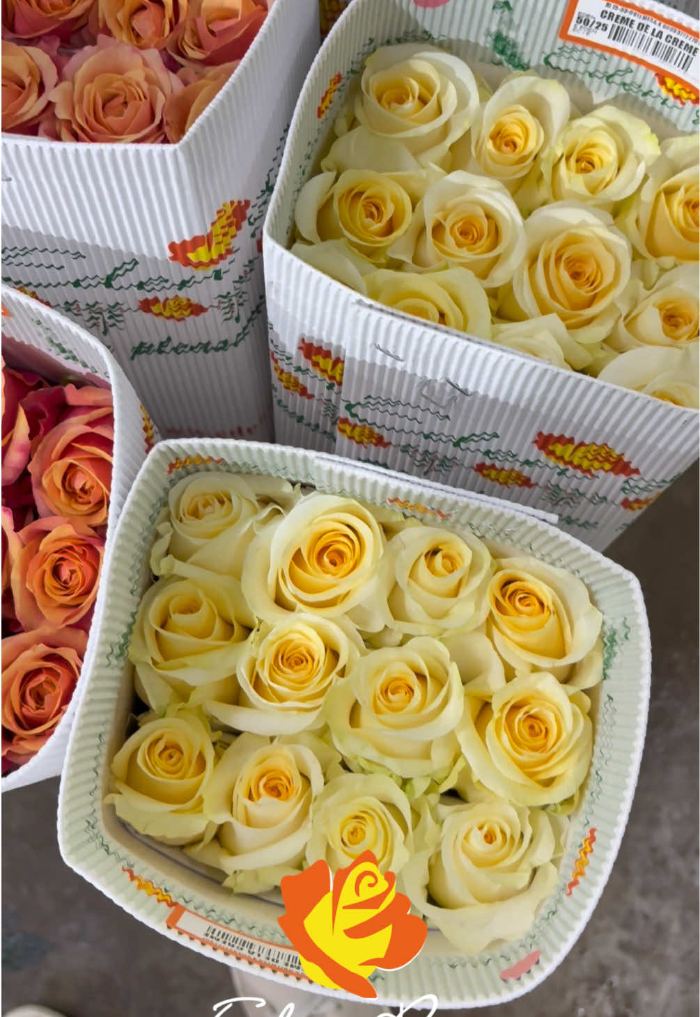 @Eden Roses