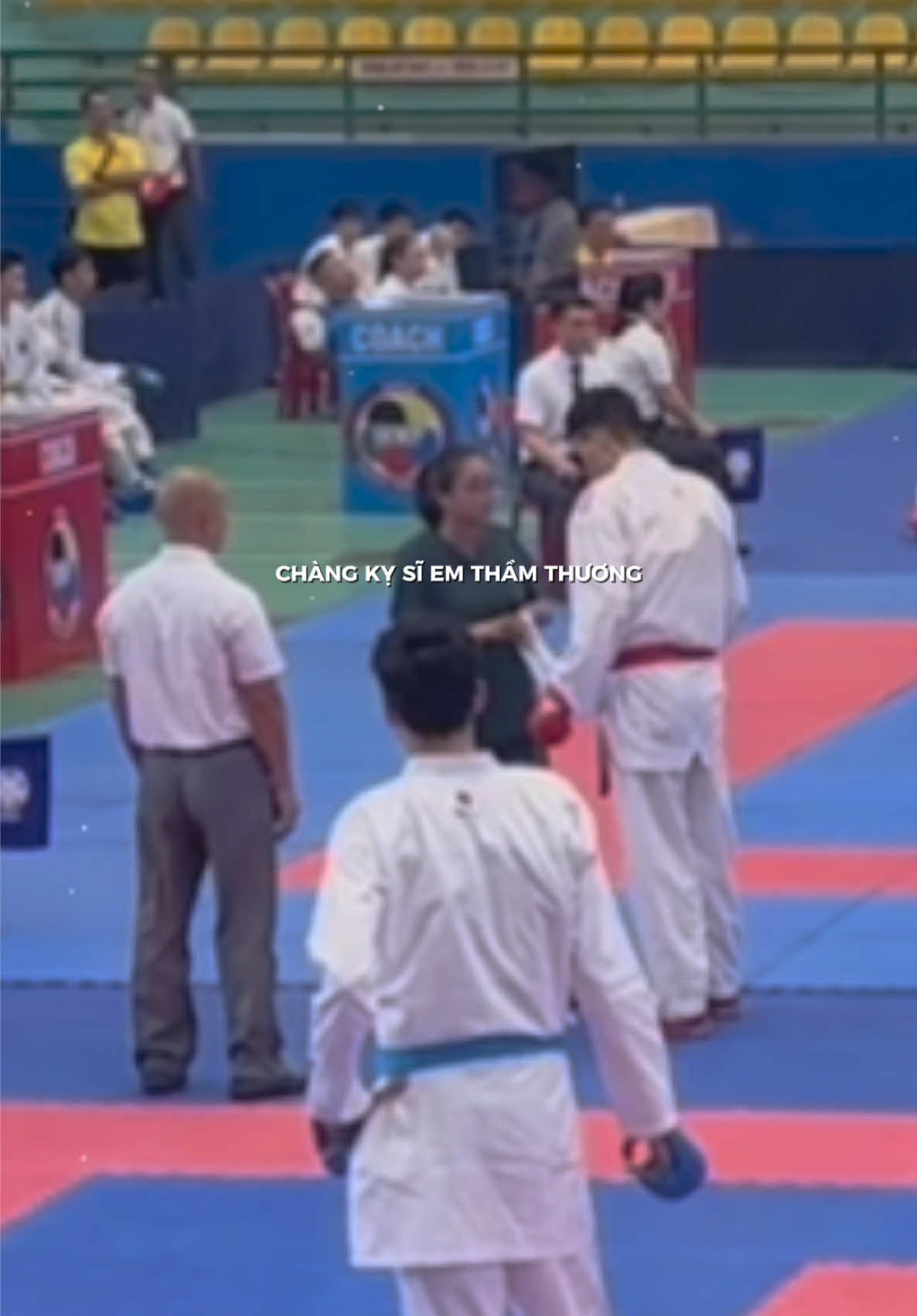 @🇻🇳TRẦN TIẾN ANH🥋