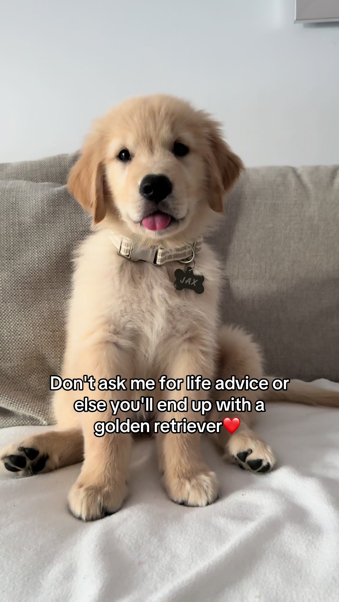 @Nat & Jax