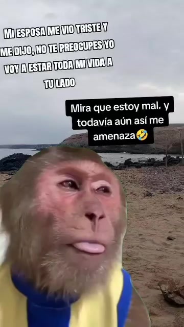 @luisfernandohcari