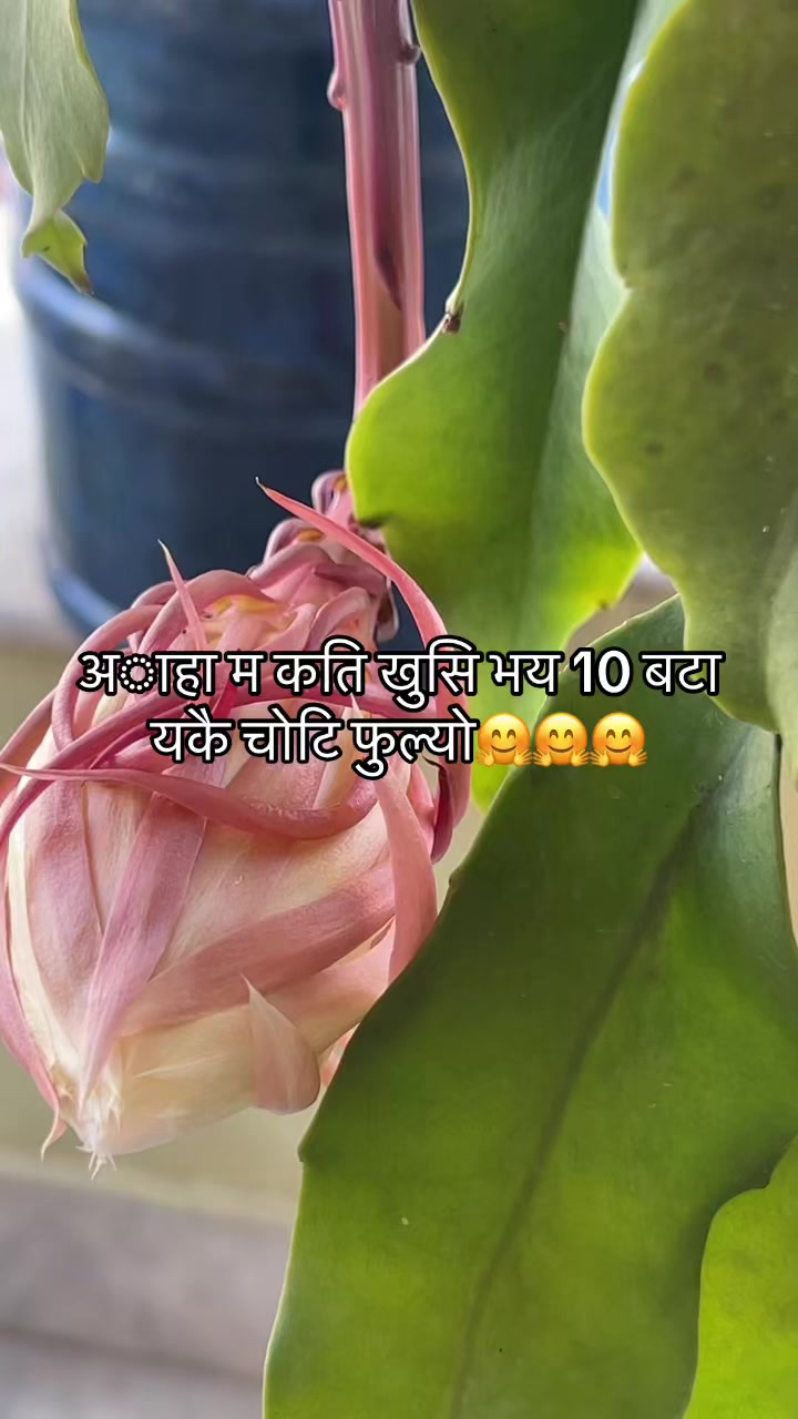@Sunita Nepal 🇬🇧