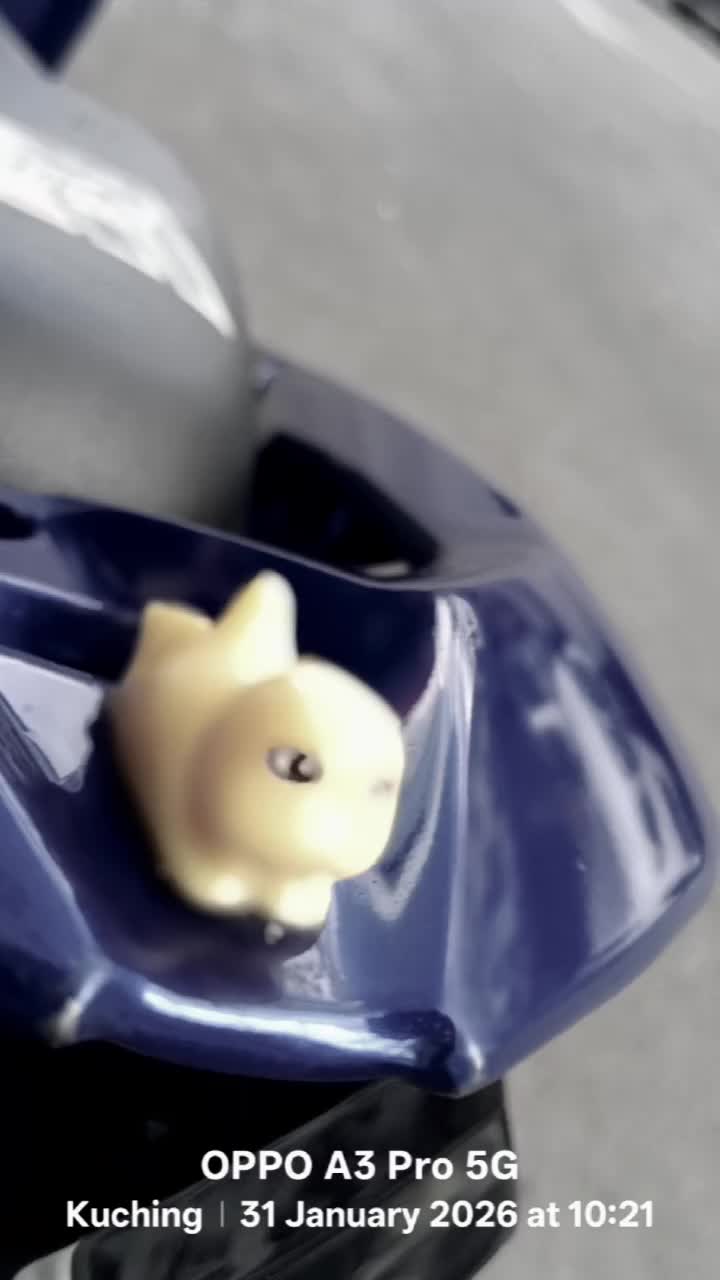 @ASJ 7578#