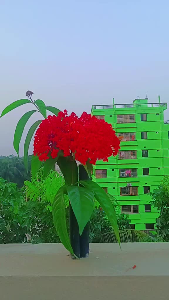 @Ramjan