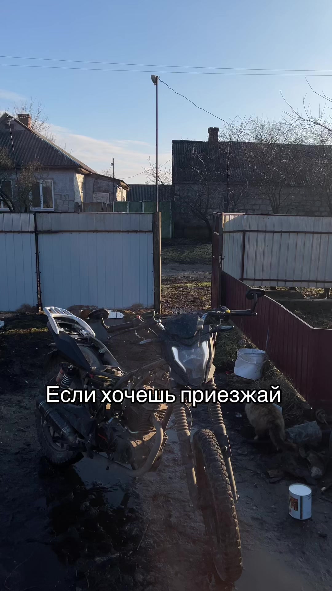 @Moshak