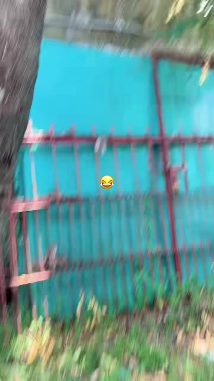 @&mdash;͟͞͞ 𝐒𝐡𝐢𝐳𝐮𝐤𝐚🐣