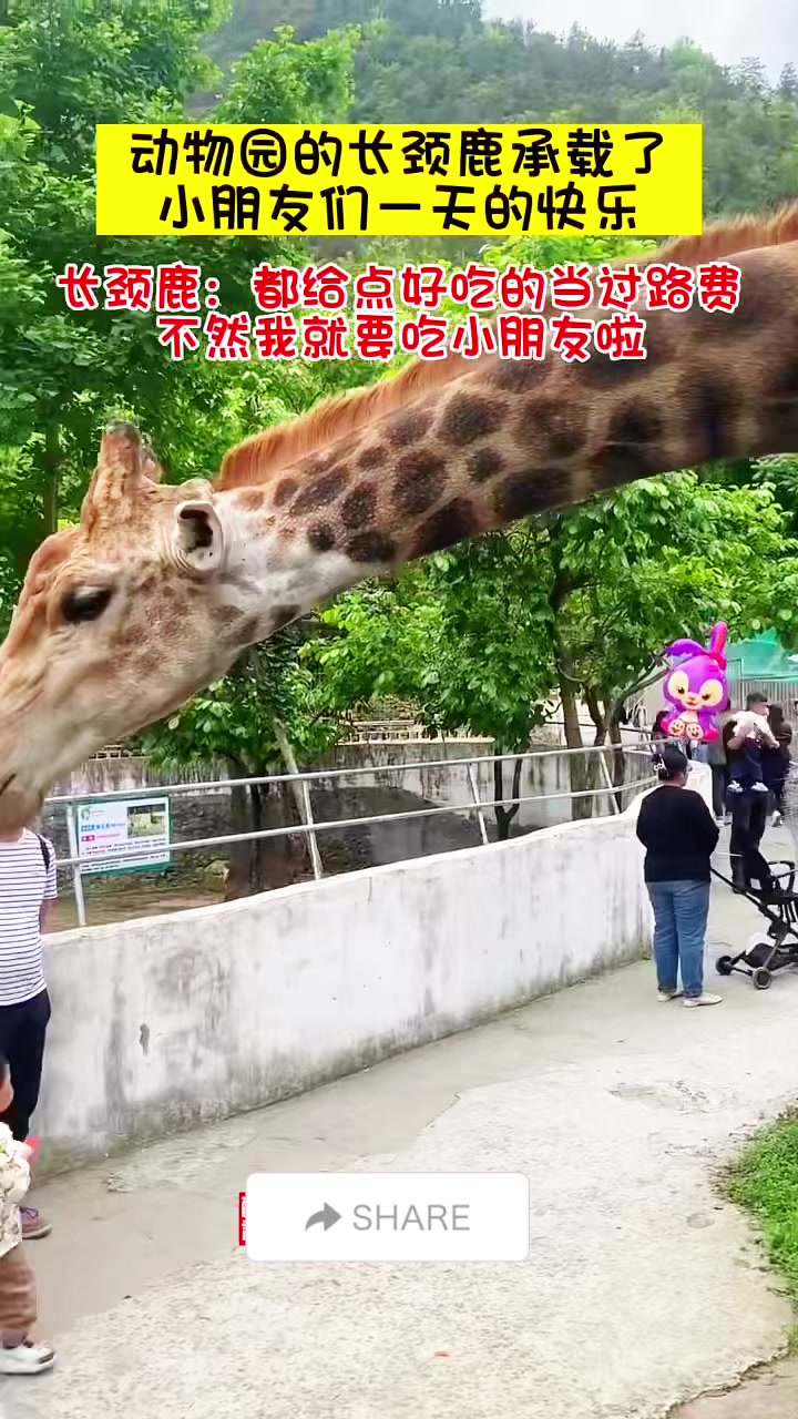 @liujiangyu