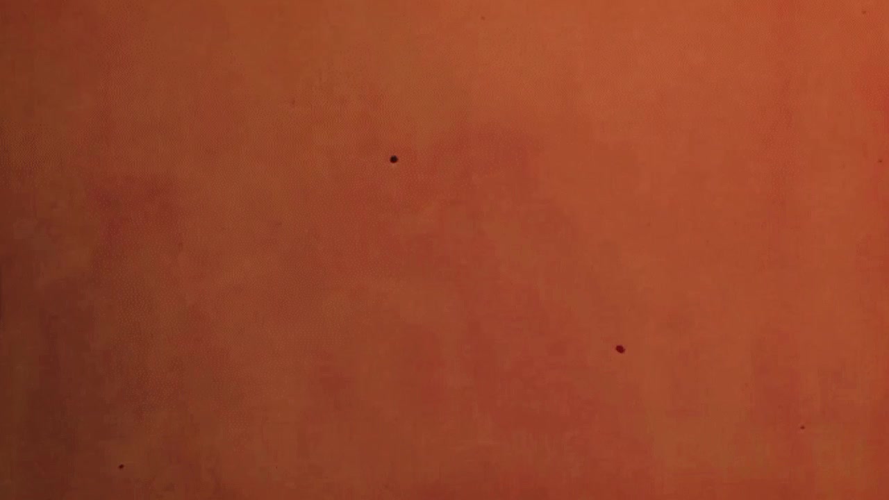 @S̶a̶o̶d̶6̶6̶k̶i̶n̶g̶ ̶👿🔥☠