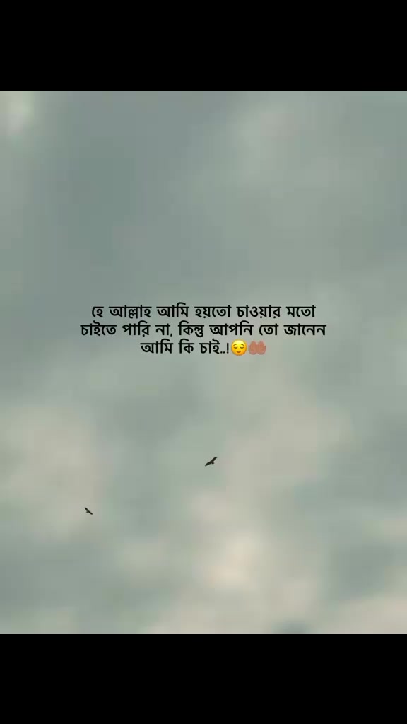 @user33722588249