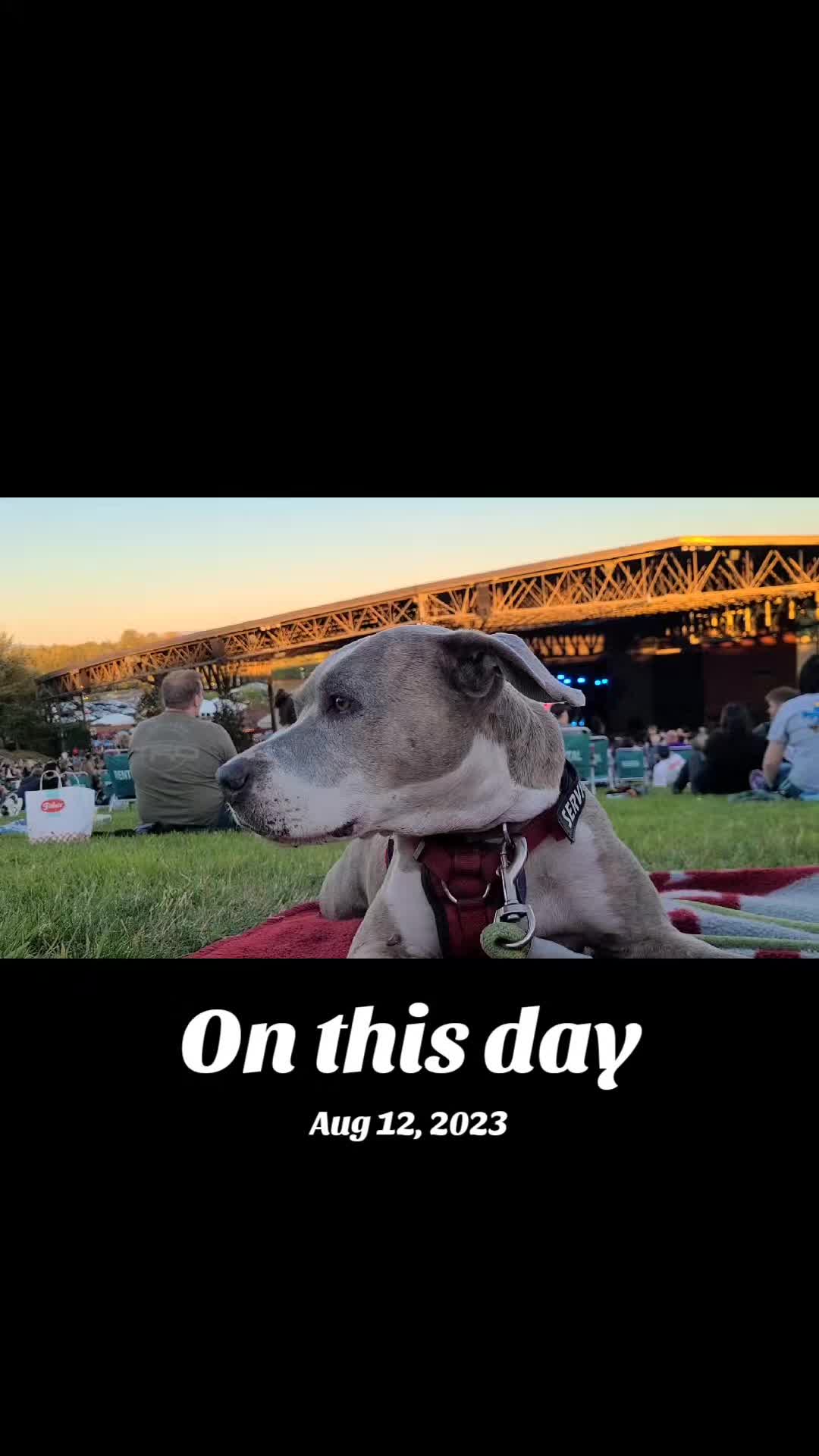 @Oatmeal 🐶🎧❤️🐕