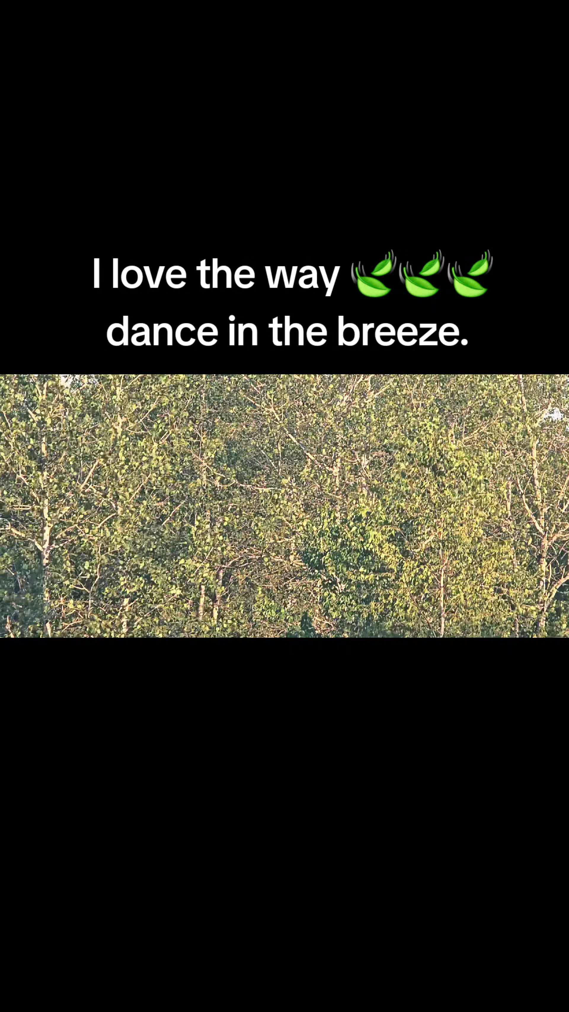 @ᛑᛗᛛKayLeeᛑᛗᛛ