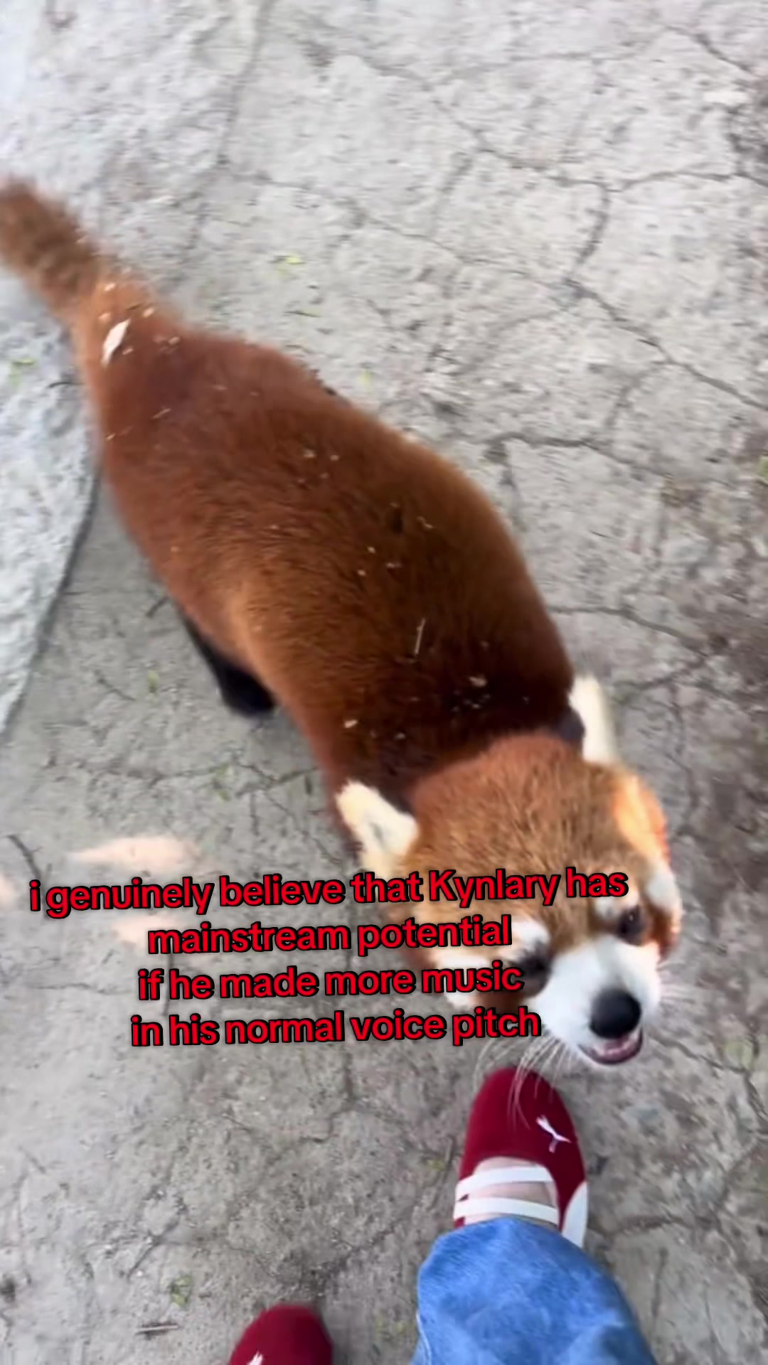 @auraful_animals
