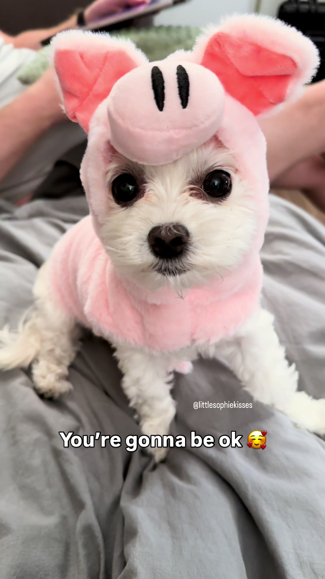 @Little Sophie kisses