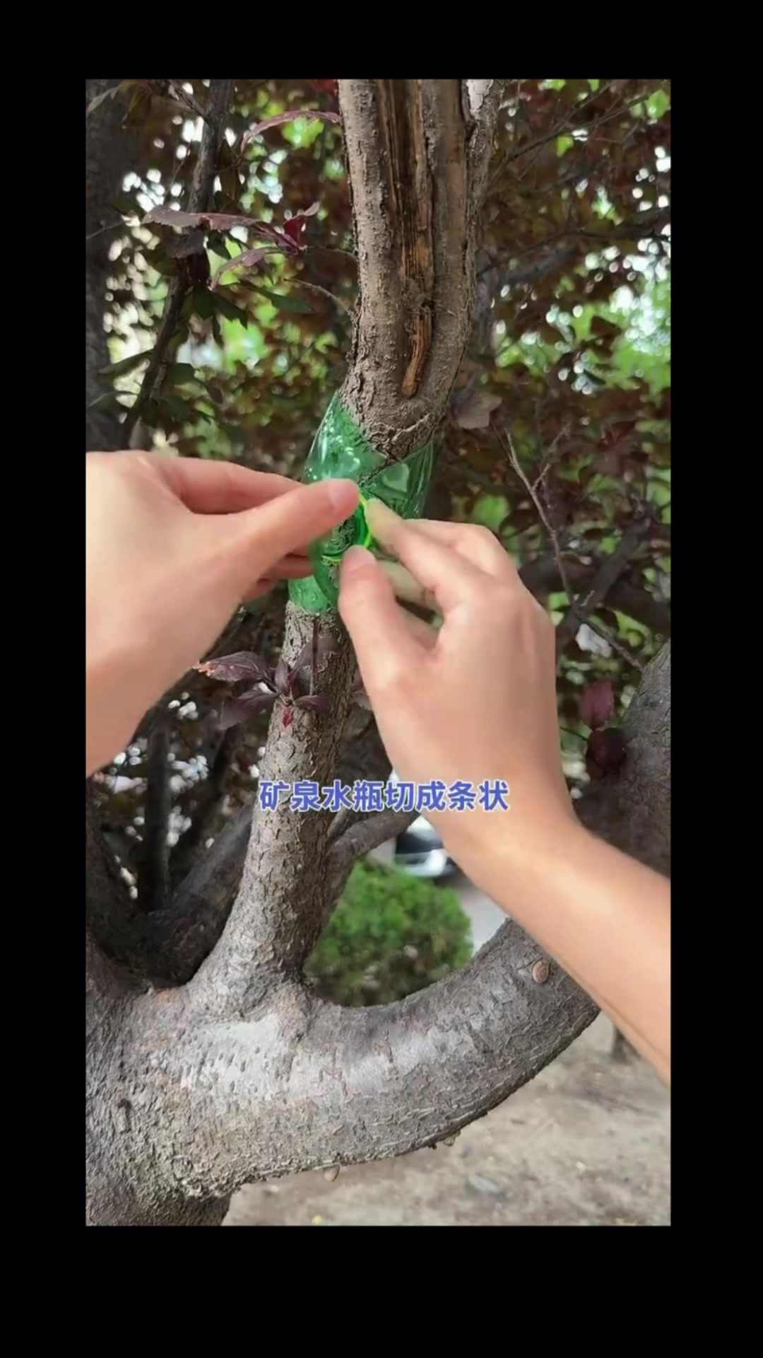 @沧海一粟3
