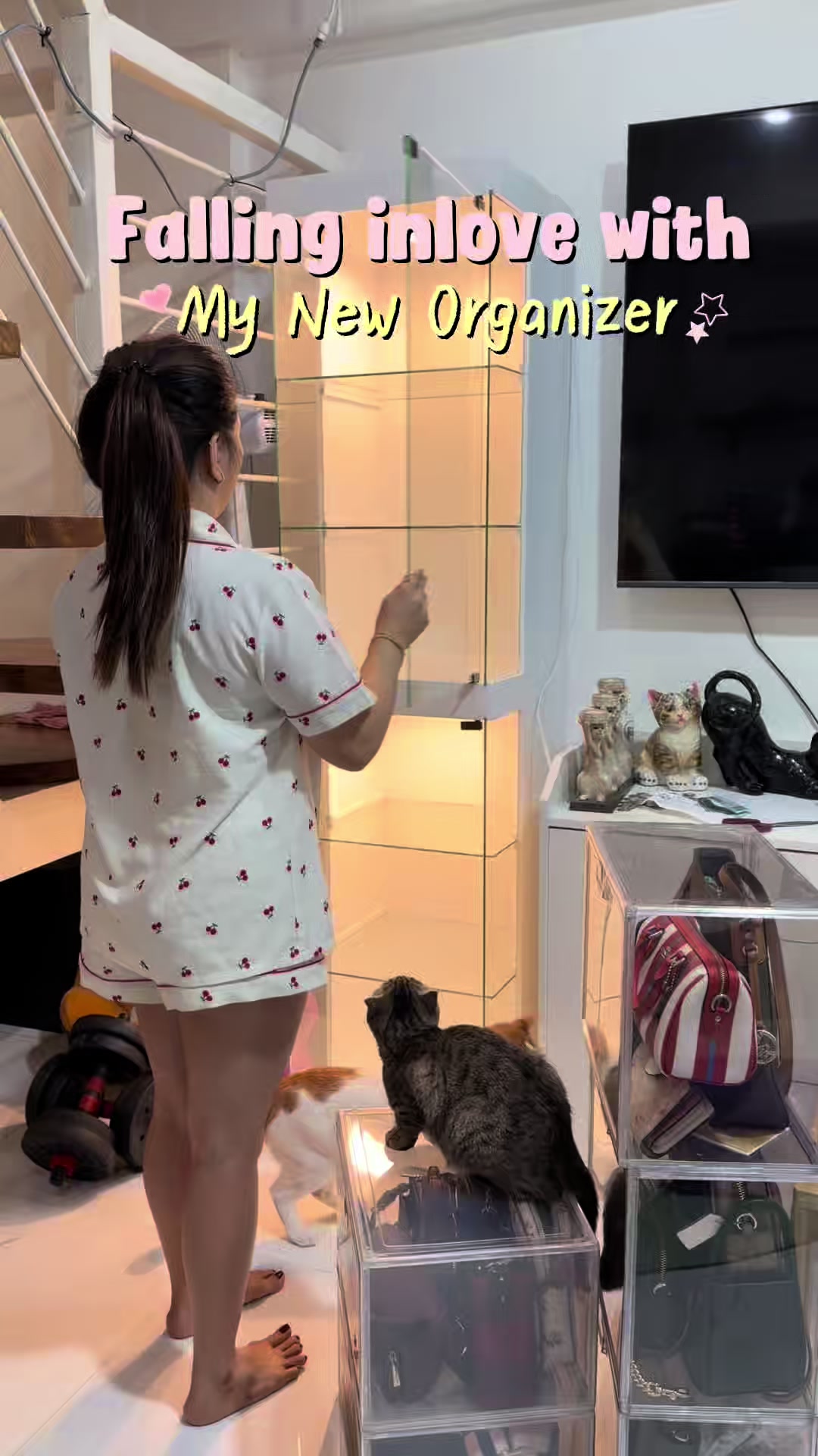 @Miss AM โฟ โ.๐ ฬ