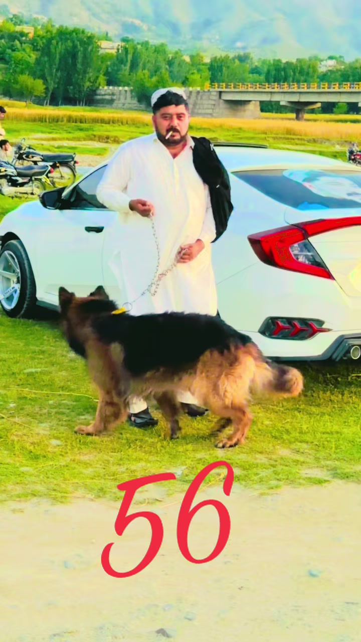 @Awrangzeb
