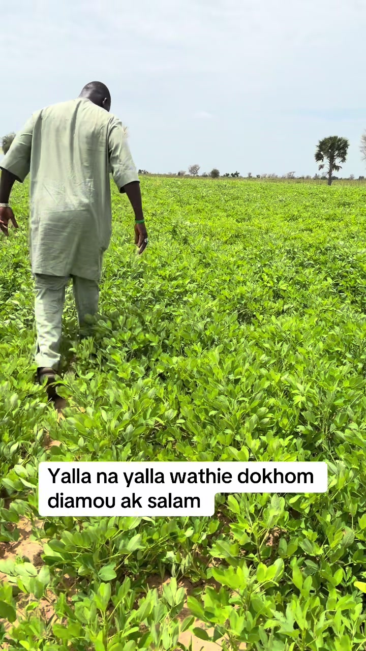 @Salam shop Banjul