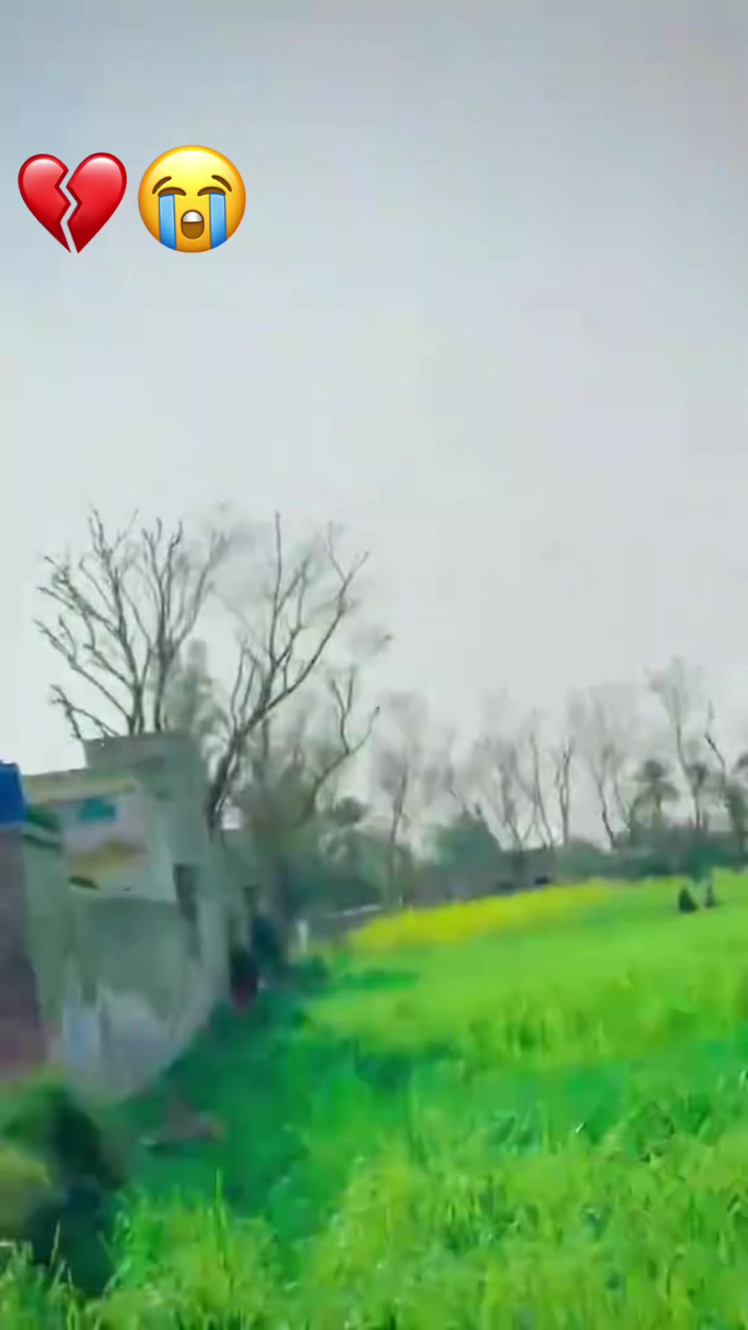 @علی بلوچ🦅