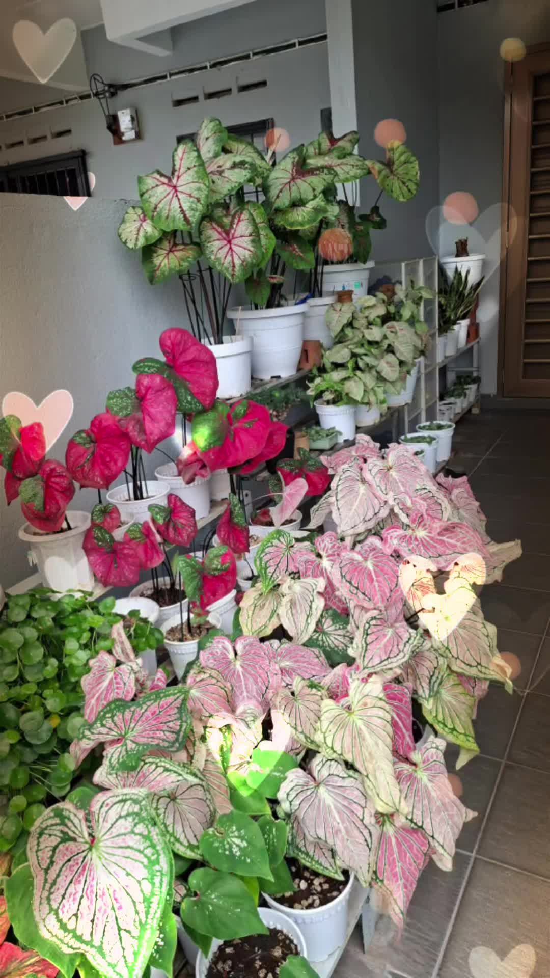 @Wendy63shop
