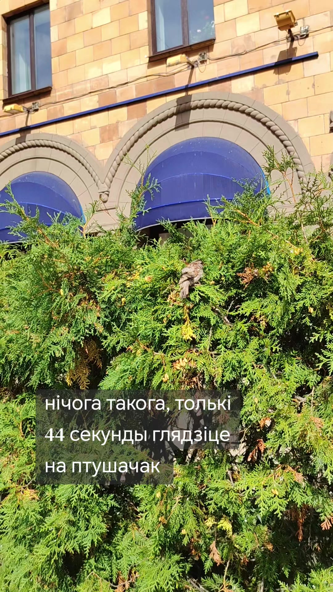 @Лена з бясконцага лета