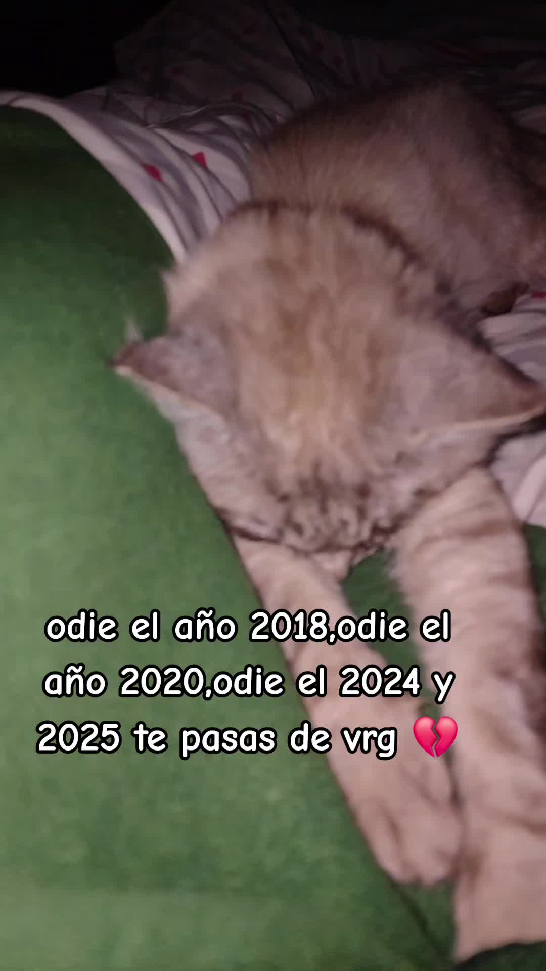 @🪷🍀ⓈⒺⓊⓁ-ⓀⒾ🍀🪷777