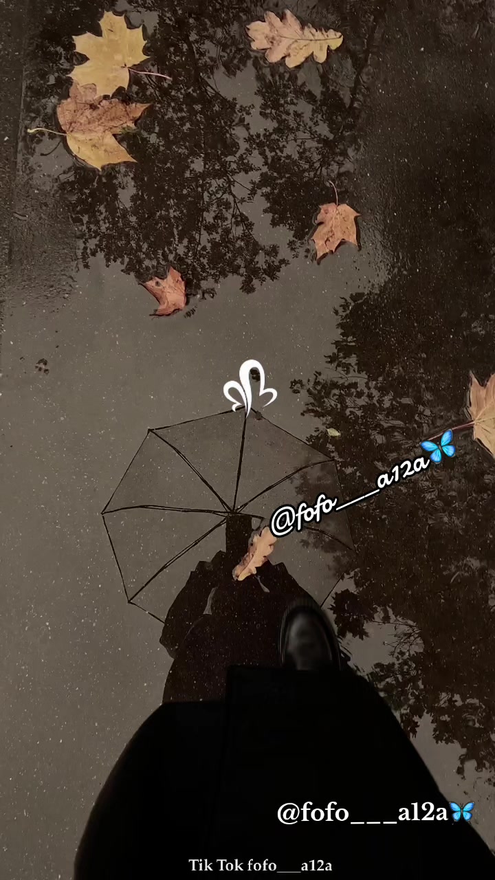 @✨🦋فراشـᬼ❥᭄❥ᬼـة🦋✨