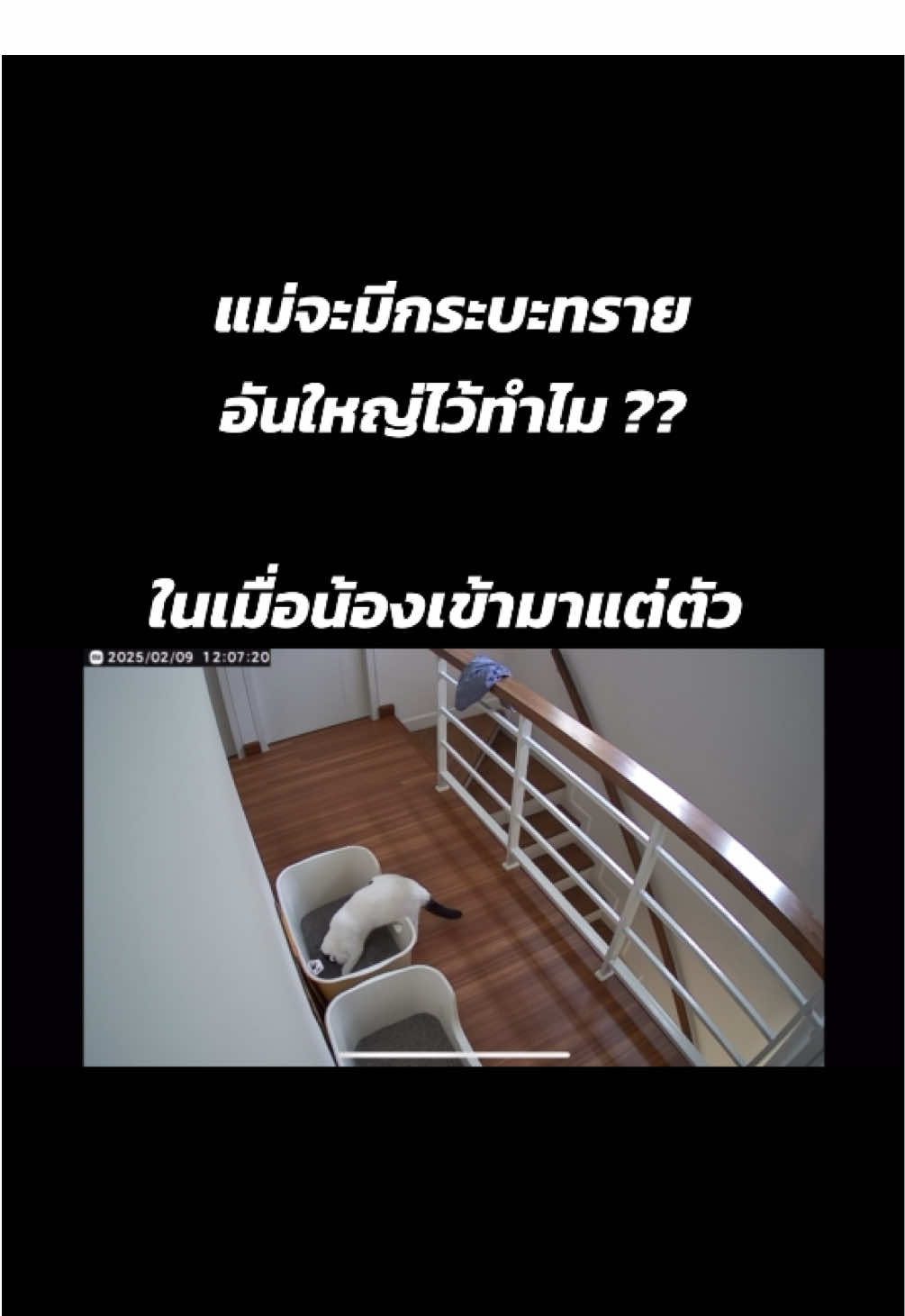 @เยอร์เก้นอยากเป็นดารา