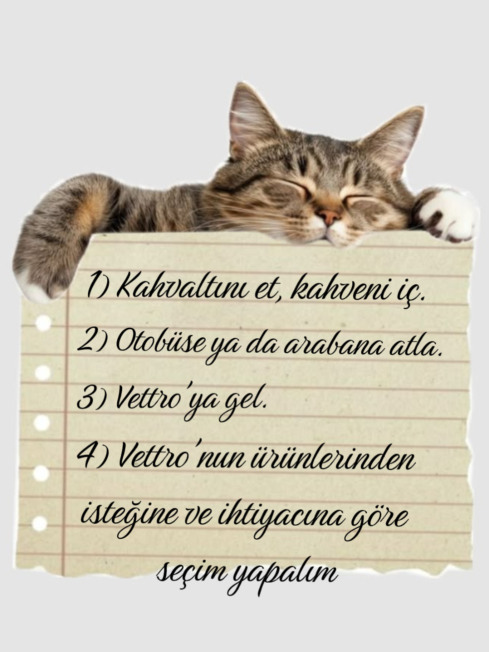 @VETTRO