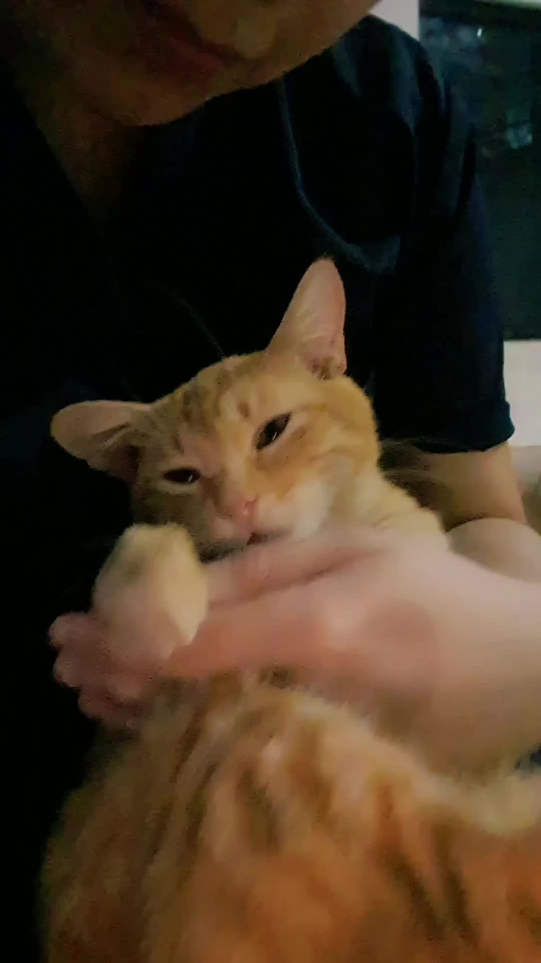 @𝓜𝓪𝓻𝓲𝓮𝓵𝓪🌻