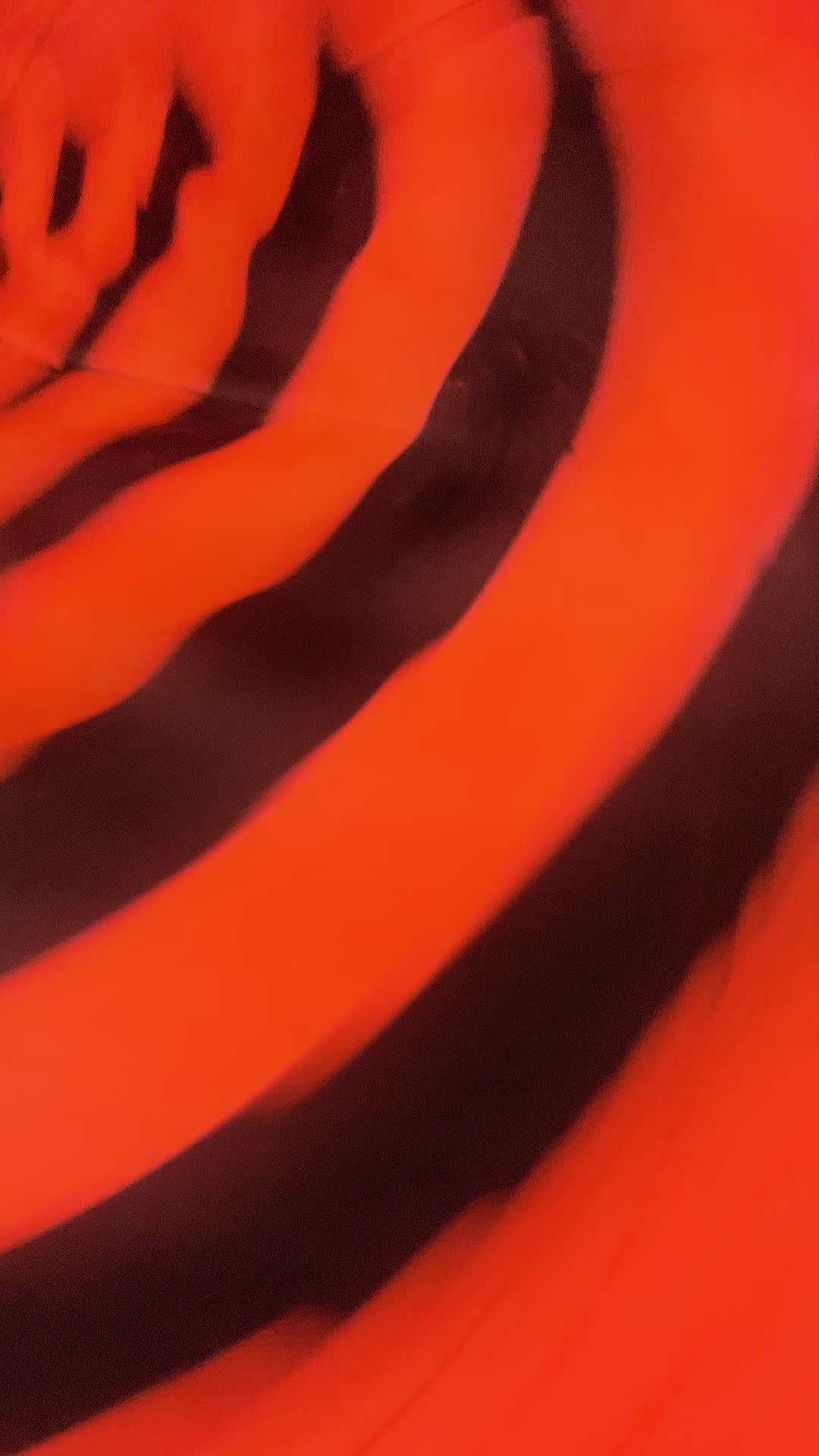 @Wormie 🪱🫶🏼✨