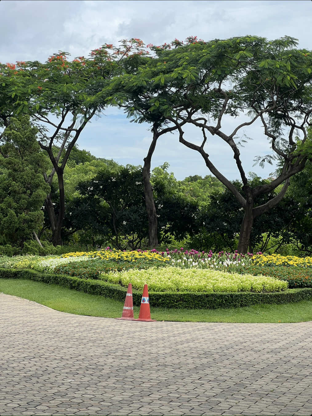 @ย้อมสีผมคือหมาบักด็อก