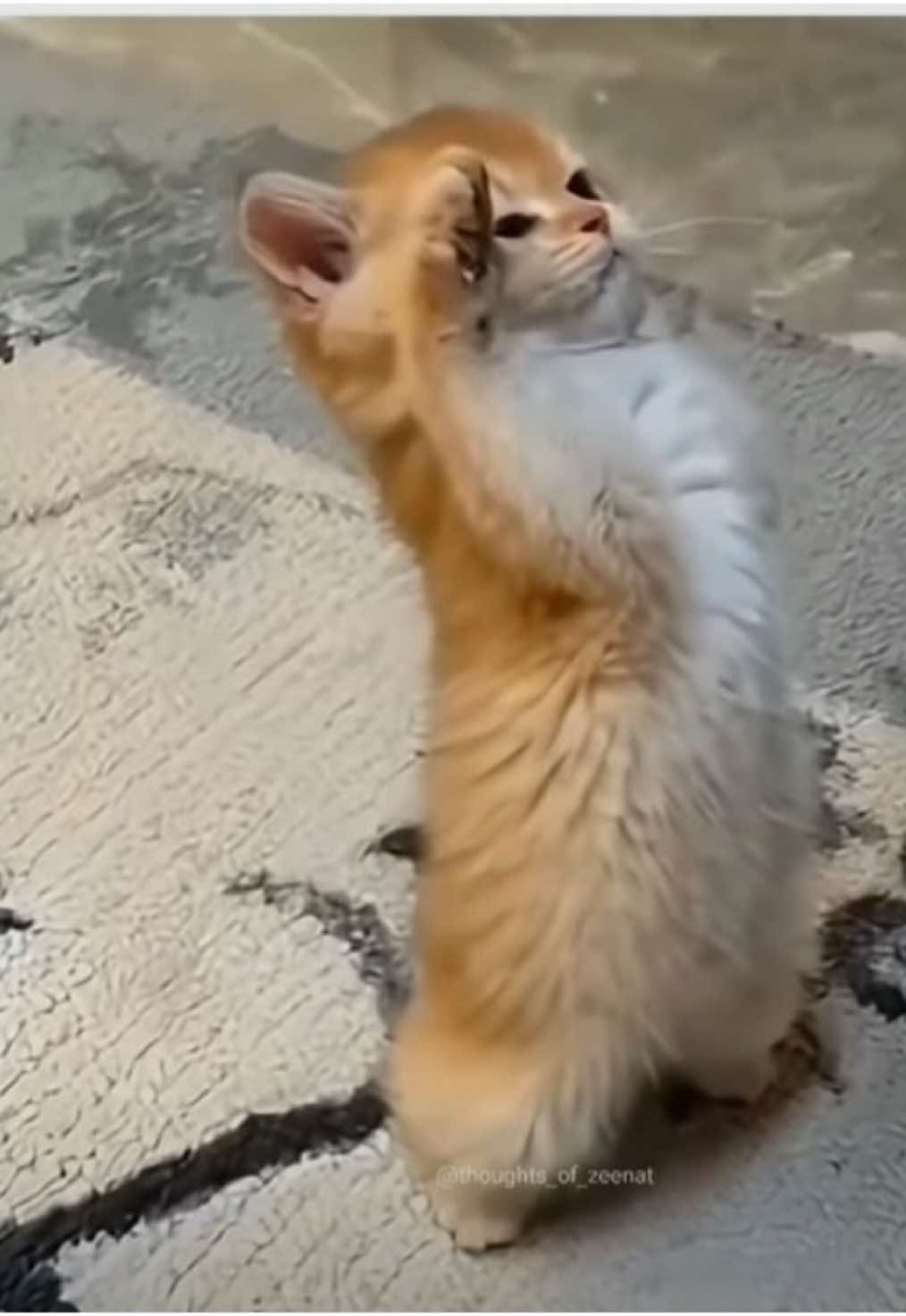 @V