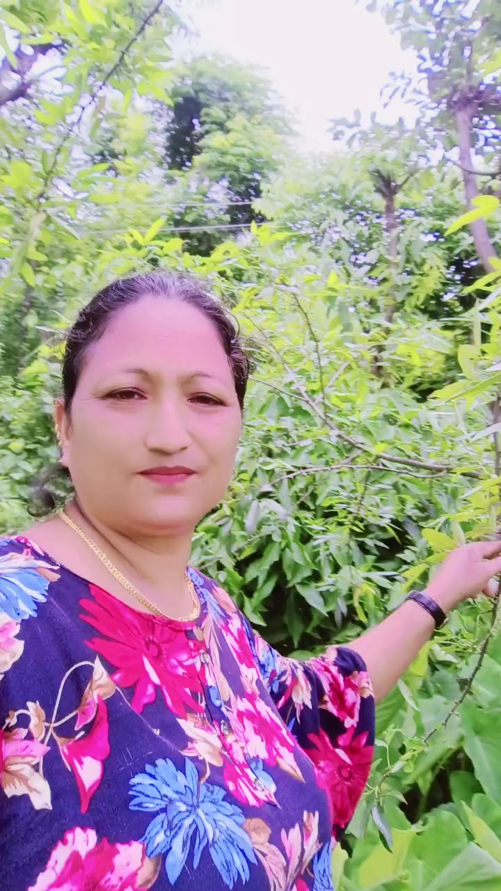 @shivanithapa