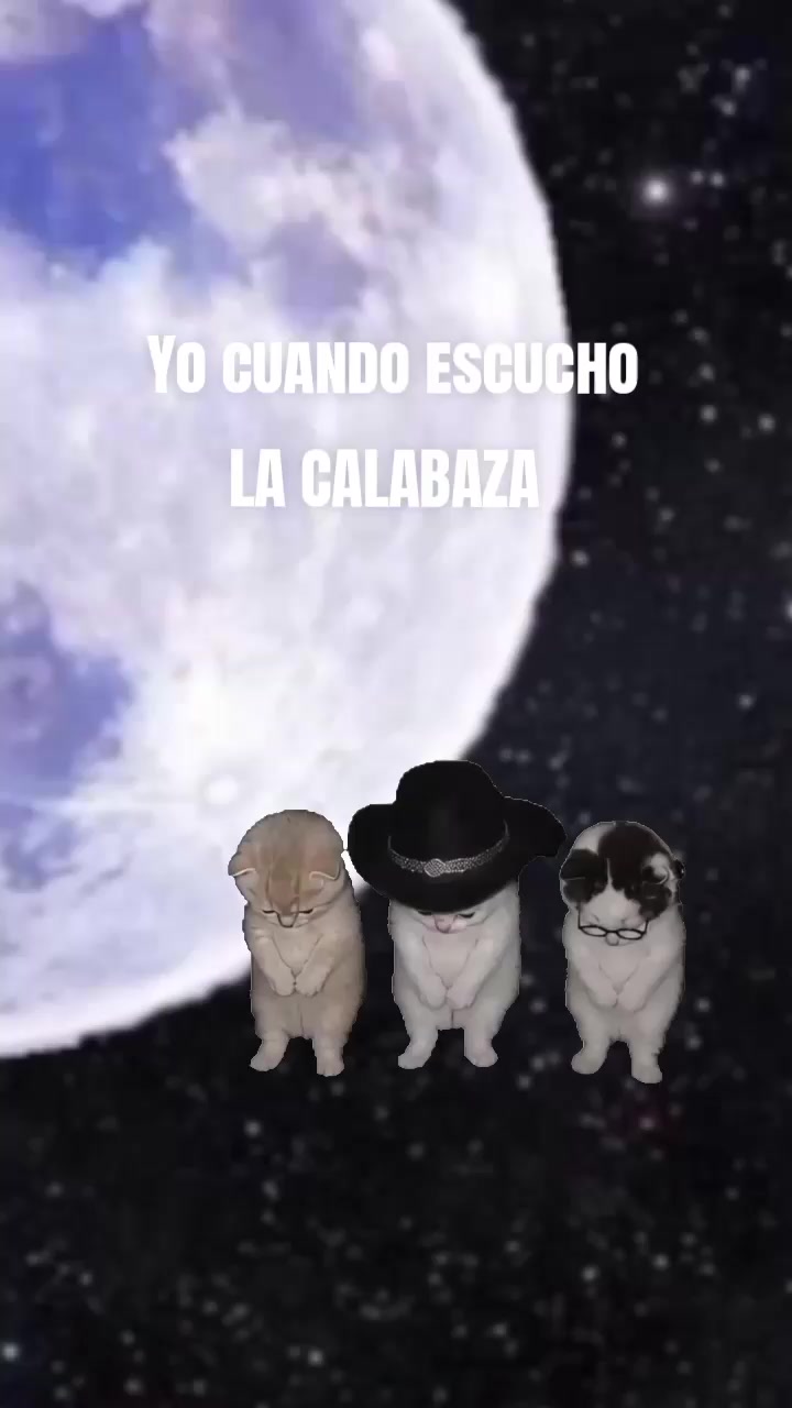 @mili_17.mtz