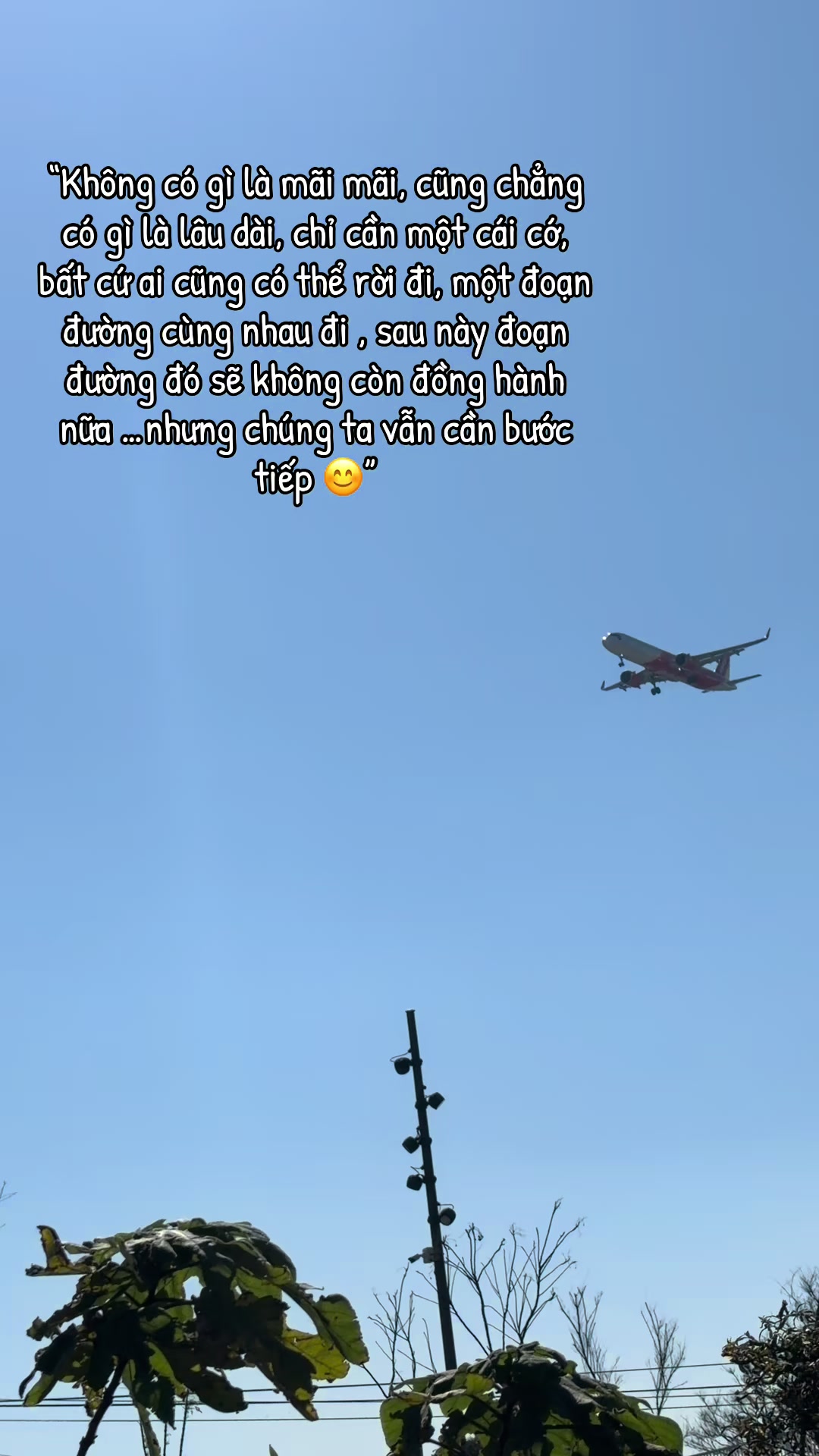 @𝑲𝒊𝒎 𝑪𝒖́𝒄 ¹⁹⁹⁵🪷