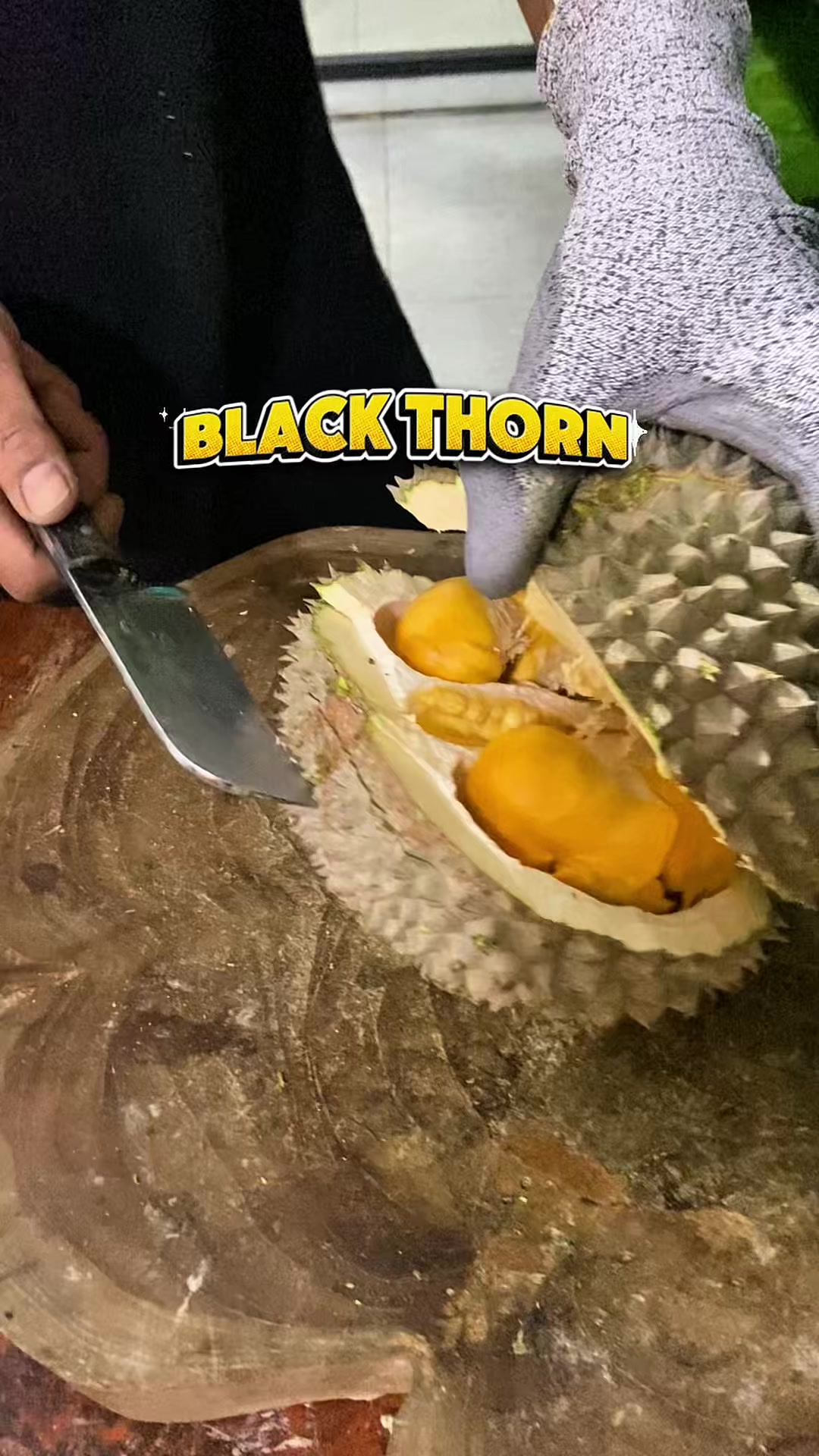 @CICIP DURIAN