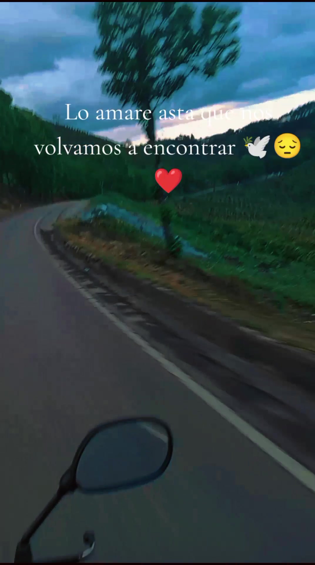 @Andrea 🦋🍒