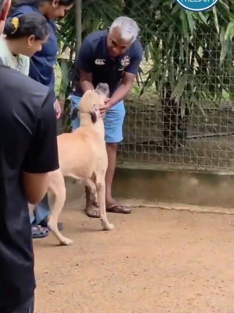 @tailsoffreedomsl
