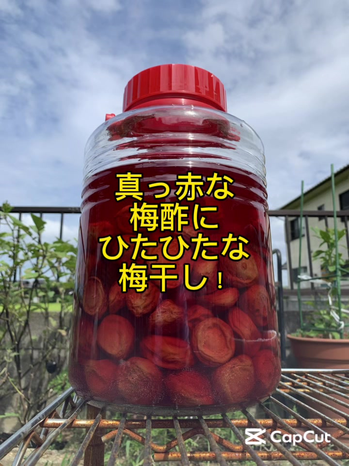 @マルン