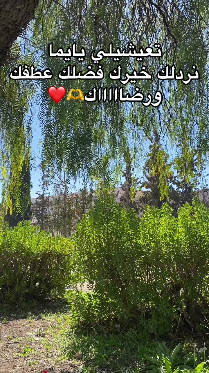 @ℳ𝑒𝑒𝓇𝓎𝒶𝓂🐝💛