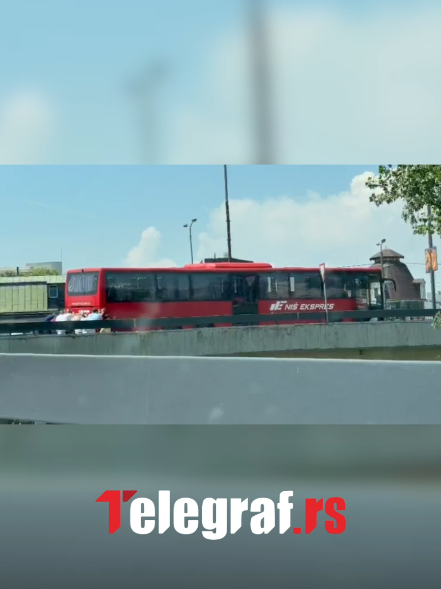 @telegrafrs