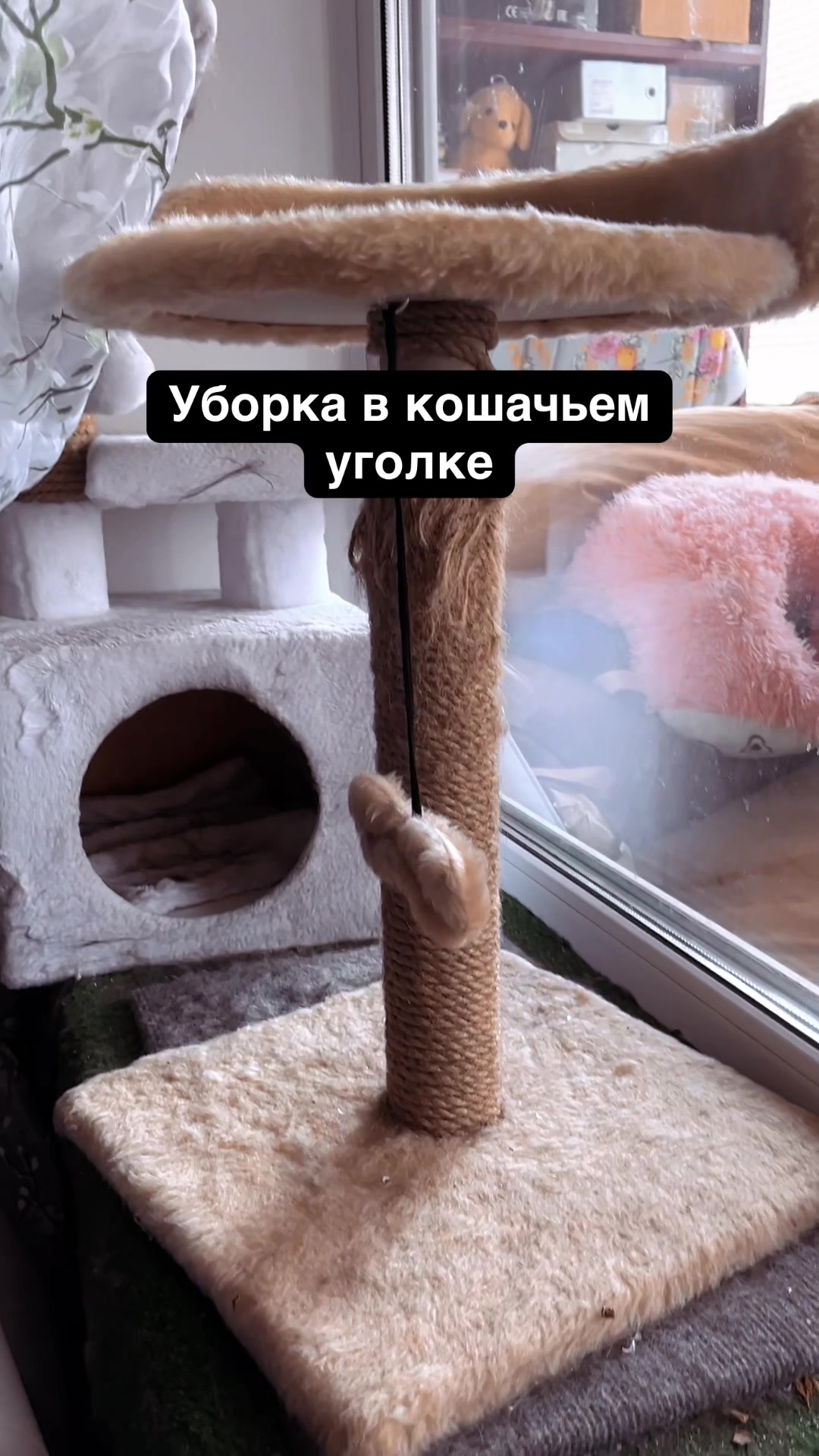 @Чувава