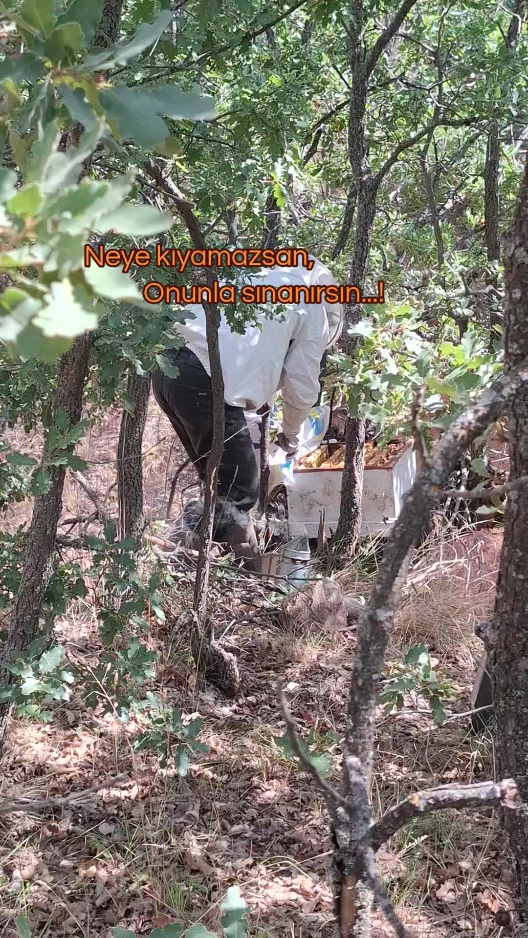 @✎﹏﹏𝐾𝑎𝑑𝑖𝑟 Ş𝑎ℎî𝑛﹏﹏