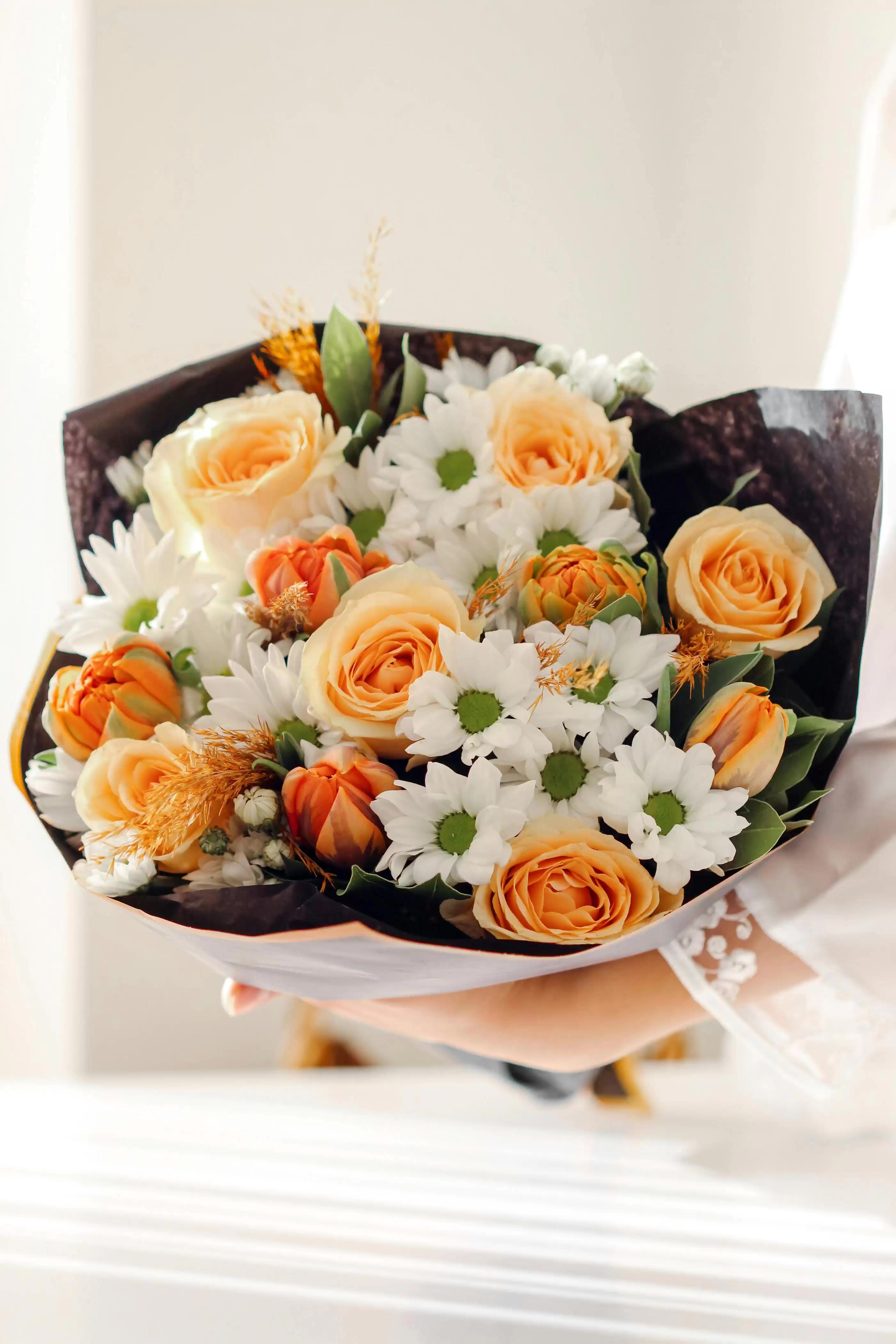 @نور الأمل