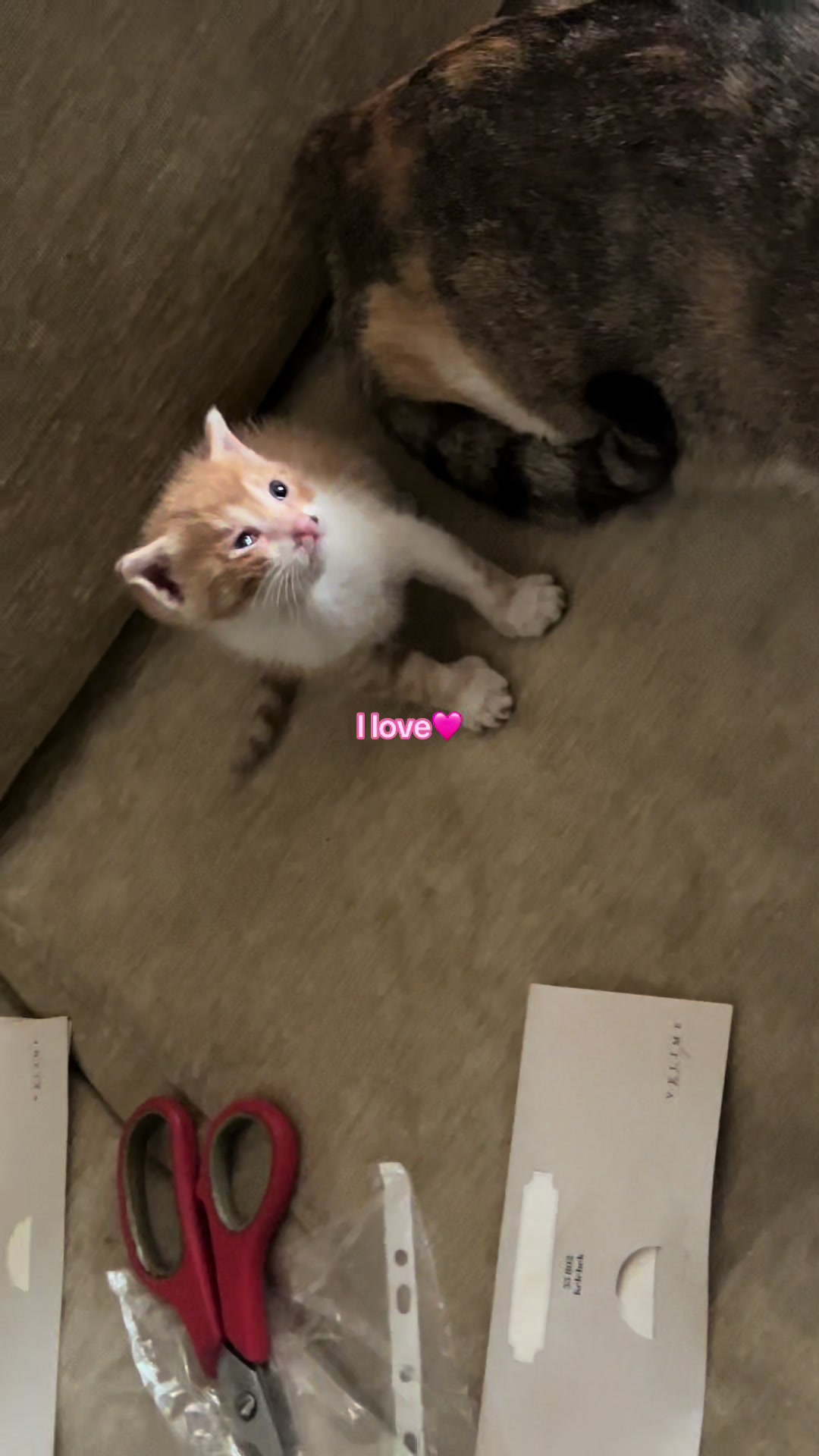 @Can